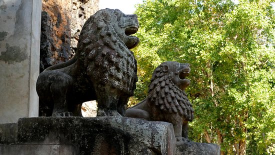 Lion Temple Group